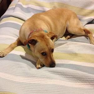 Meet your Posher, Geno